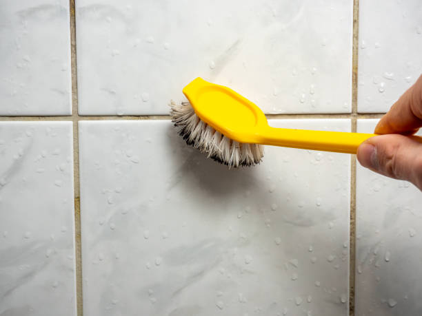 Best Mold Removal Near Me  in Belton, TX