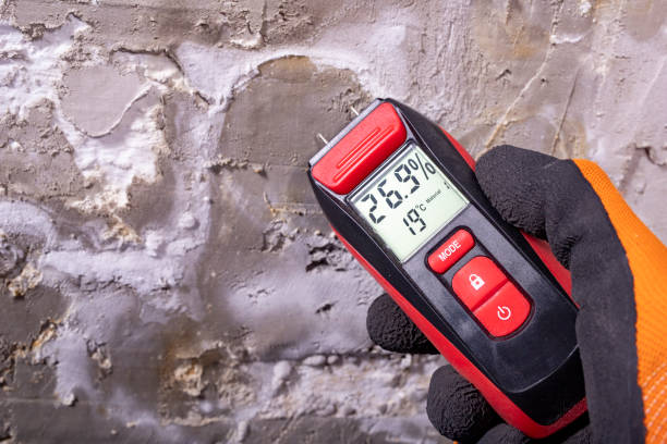 Trusted Belton, TX Mold Removal Experts