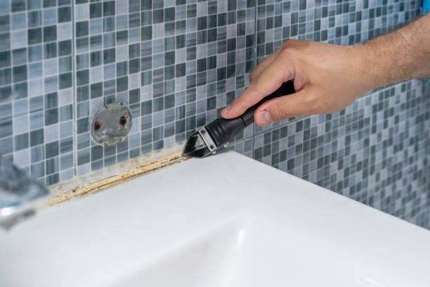 Best Professional Mold Removal  in Belton, TX