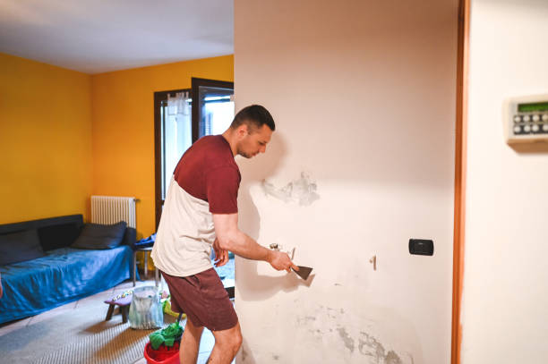 Best Residential Mold Removal  in Belton, TX